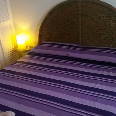 Ippocampo